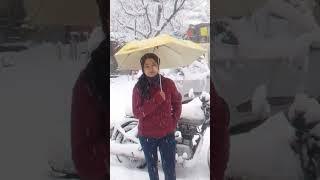 Nomad Girl on the Wheels🫣#shorts  #youtubeshorts #harshilvalley #travel #trending #pahadi #snowfall