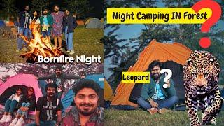 Night Camping In Forest | Jungle Stay Camping  | Tent Camping Night | Leopard  Near Camping Tent 