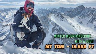 Mt. Tom Winter Camp and Summit - Van Life California