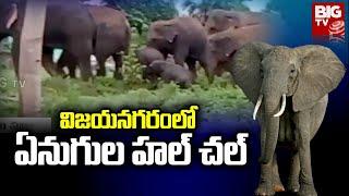 విజయనగరంలో ఏనుగుల హల్ చల్ | Elephants Hulchul in Vizianagaram | Big TV Telugu