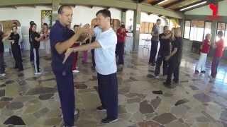 Yang Family Tai Chi Mexico
