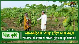 Deepto Krishi/দীপ্ত কৃষি-  লালতীরের 'বাবু' পেঁপে চাষ করে লাভবান হচ্ছেন গাজীপুরের কৃষকরা  | 1129