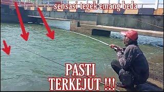 Tegek Sakti Agung Brewok | mancing dam semarang