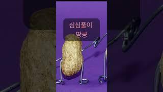 하루 해에 꼭 한 번씩 해보는 심심풀이 땅콩, 하루해