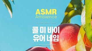 은밀하고 순수하며 영글지 않은어느 8월의 기나긴 오후, 엘리오의 방 /콜 미 바이 유어 네임 ASMR