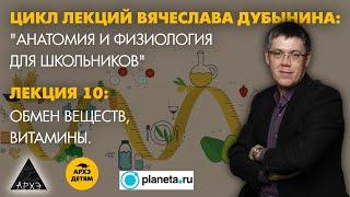 Вячеслав Дубынин: "Обмен веществ, витамины" (Лекция 10)