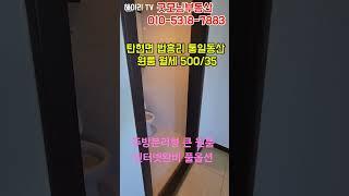 NO. 39M [파주 원룸] 파주 탄현면 법흥리 통일동산 파주영어마을 헤이리 원룸 월세 500/35만 인터넷완비 풀옵션 개방감좋고 베란다 넓은 주방분리형 깔끔한 큰원룸#shorts