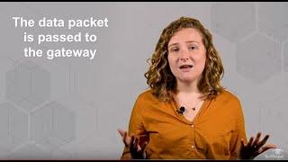 What is a Gateway? Why is it Important?