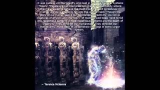 Power and hierarchy in the age of information (Terence Mckenna)