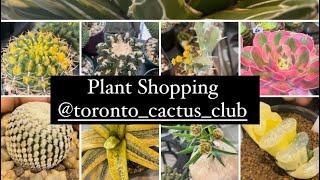 Plant Shopping @ The Toronto Cactus & Succulents Club Annual Sale (uncommon plants)