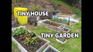 Tiny Garden for my Tiny Haus - Homegrown Vegetables, UK