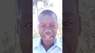 Greener pastures seekers and unemployed people are needed in artisanal small scale mining  :