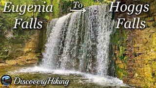 Eugenia Falls To Hoggs Falls Conservation Area Hike | Ontario | Bruce Trail | Niagara Escarpment