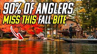 Don't Miss The BEST Fall Smallmouth Bite