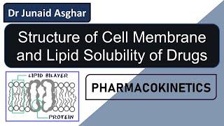 Cell Membrane | Lipid Solubility and Drug Absorption || Junaid Asghar PhD