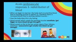 Acute cardiovascular responses to exercise