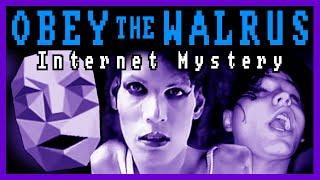 OBEY THE WALRUS [Deep Dive] - Internet Mystery & Drama - Obedece a la Morsa - ObeyDaWalrus