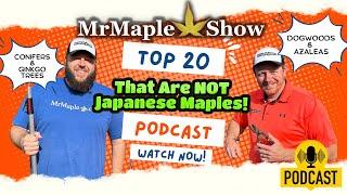 Top 20 Plants That Are Not Japanese Maples | MrMaple Show Podcast