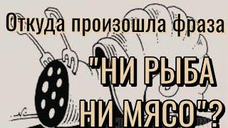 "Ни рыба ни мясо". У этой фразы есть продолжение.