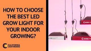 How to choose the best LED grow light for my indoor growing? - FAQ