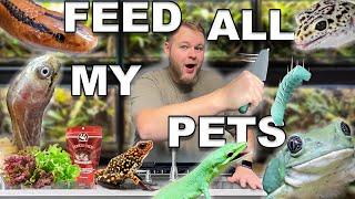 Feeding ALL 100 of my PETS 2024!!