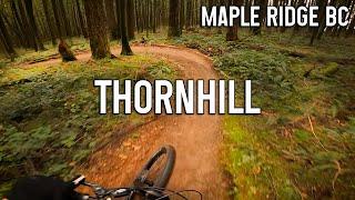 Back at it? - Thornhill Mountain Biking