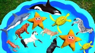 Wild Animal and Sea Animal Toys - Learn Animal Names - Farm Surprise Toy for Kid Child