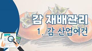 [영농기술] 감 재배관리 1. 산업여건