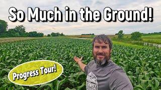 Crop Progress Tour: Fields, Greenhouses & Cantaloupe Planting