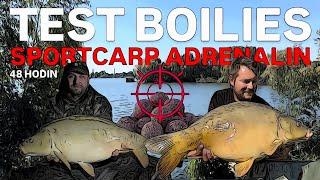 TEST BOILIES - SPORTCARP ADRENALIN - 48 HODIN - KONEC ZÁŘÍ - NOVÉ PRUTY RODS4U - NOVÁ RC LOĎKA S GPS