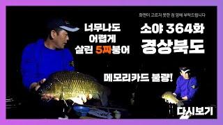 소야 History 364] 정말 어렵게 살린 5짜 붕어 (메모리카드 오류!!!)