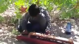 japani  بینجو ساز Afghan pure music