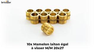 VIDÉO 360° - 10x Mamelon laiton égal à visser M/M 20x27 BRICOZOR