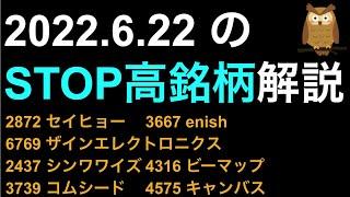2022/6/22 ストップ高株解説！セイヒョー,enish,ザインエレクトロニクス,シンワワイズ,ビーマップ,コムシード,キャンバスがSTOP高！