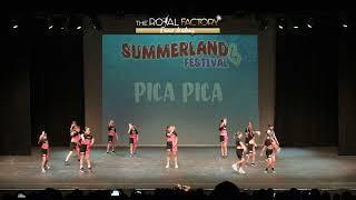 PICA PICA - SUMMERLAND FESTIVAL 4