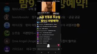 한동훈 뚱땡이 탄이와 함께하는 토요일 라방 예약! 주말이 기다려진다!! (feat.아기탄이도귀엽다)