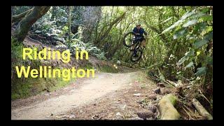 Mountain Biking in Wellington, NZ - Jail Brake