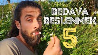 BİR GÜN BOYUNCA BEDAVA BESLENMEK 5 | "HASAT VAKTİ"