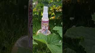 www.no-more-nibbles.com #bugspray #ecofriendly #nature #family #petsafety