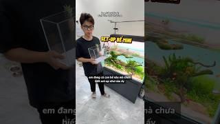 Cầm 300K của cậu em hàng xóm set-up bể mini dễ chơi dễ chăm #thuysinhtim #thuysinh #cacanh