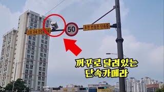 후방카메라 단속! 앞으로 조심하세요!