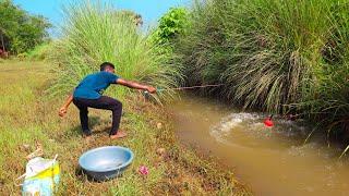 Fishing Video || I would not have believed if I had not seen so many fish in the village canal