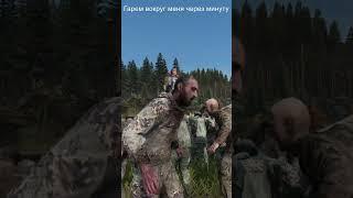 Dayz - Тише, чтобы не заметили #dayz  #дейз #стрим