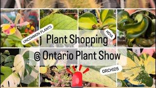 Plant Shopping @ The Ontario Plant Show ( Uncommon plants)Monstera, Hoya, orchids, succulents