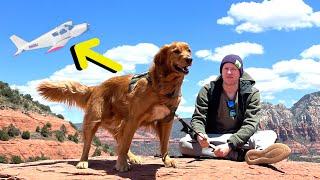 Flying My Dog to Sedona