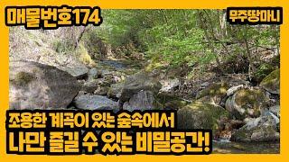 매물번호 174. 조용한 계곡이 있는 숲속, 나만의 공간을 소개합니다. #토지매매 #무주부동산