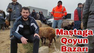 Maştaga Qoyun Bazarı #elixezer #mastagamalbazari #mastagaqoyunbazari  20.02.22