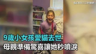 9歲小女孩愛貓去世　母親準備驚喜讓她秒噴淚｜三立新聞網SETN.com