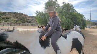 The most adventurous horse ride ever...I only moved 20 feet!