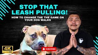 Stop Your Dog's Leash Pulling With No E Collars or Prong Collars.. EVER!